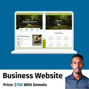 business website